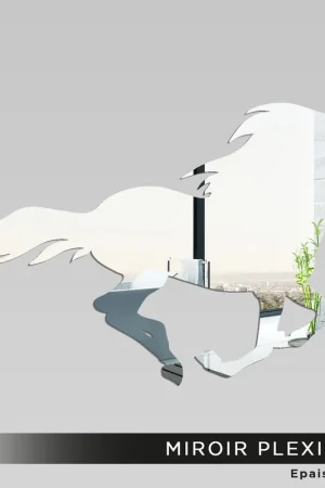 Miroir Plexiglass - Cheval Vente Flash