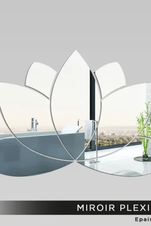 Meilleur Prix Miroir Plexiglass - Nénuphar