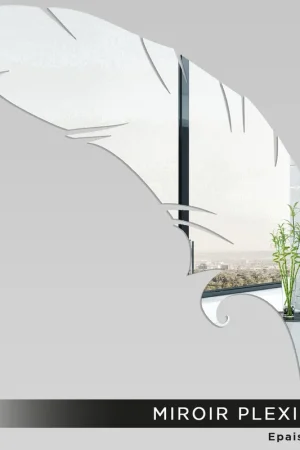 Meilleure Qualité Miroir Plexiglass - Plume
