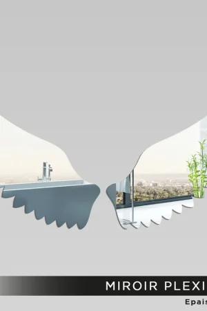 Miroir Plexiglass - Ailes Solde