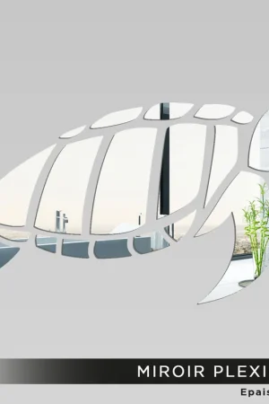 Marque Miroir Plexiglass - Tortue