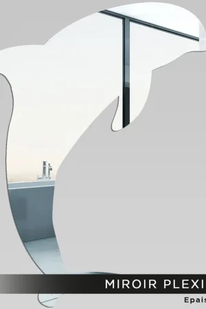 Bon Plan Miroir Plexiglass - Dauphin
