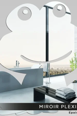 Miroir Plexiglass - Grenouille Petit Prix