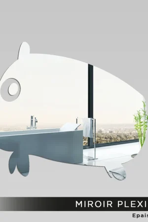 Miroir Plexiglass - Cochon Solde