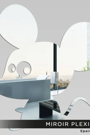 Miroir Plexiglass - Souris Premium