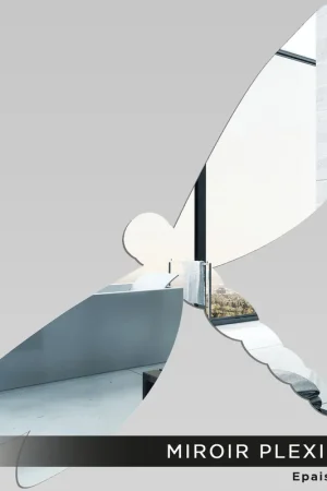 Marque Miroir Plexiglass - Libellule