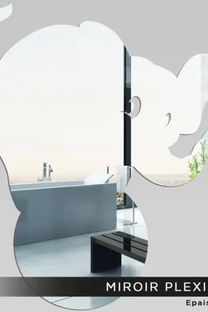 Expédié Aujourd’hui Miroir Plexiglass - Éléphant