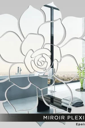 Usine Directe Miroir Plexiglass - Rose