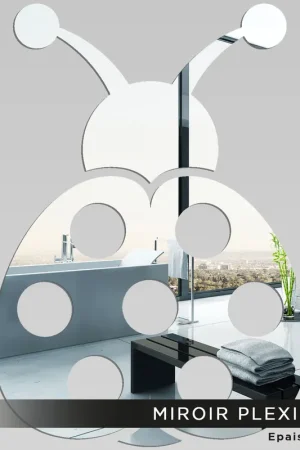 Meilleur Choix Miroir Plexiglass - Coccinelle