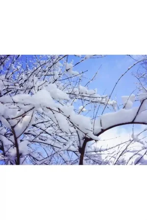 Décor plafond paysage - La neige Acheter En Ligne