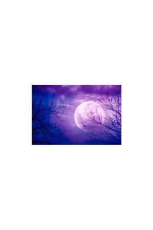 Décor plafond paysage fantaisie - La forêt à la pleine lune Livraison Express