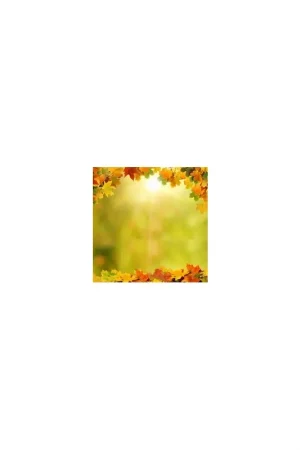Achat Immédiat Décor plafond paysage nature - Le ciel d'automne