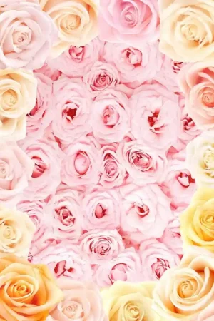 Commande En Gros Décor plafond fleur romantique - Les roses