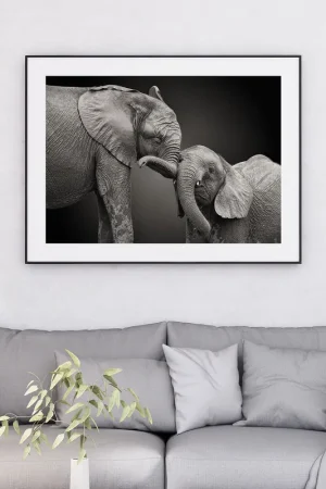 Affiche / Poster - Eléphants Offre Limitée