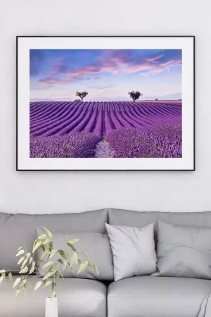 Affiche / Poster - Champ de lavande Retour Gratuit