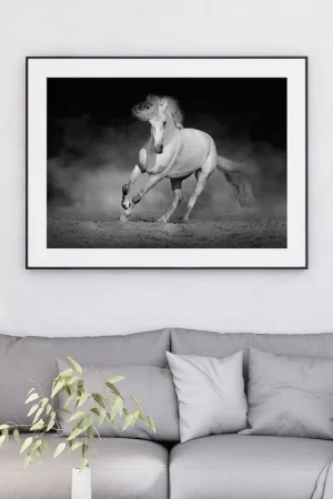 Affiche / Poster - Cheval blanc Tendance