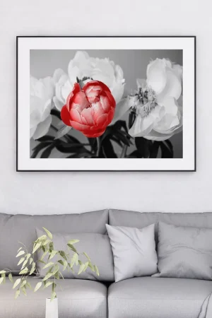 Affiche / Poster - Fleurs Solde