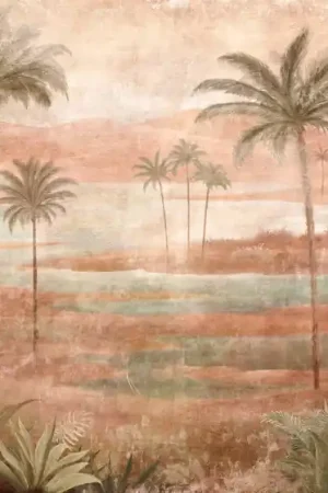 Solde DRAA PALMS