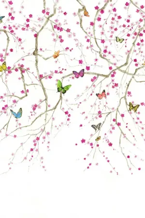 BUTTERFLY DELIGHT Achat Immédiat