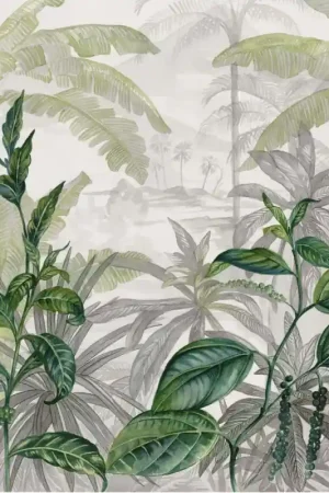 Olea Achat Immédiat