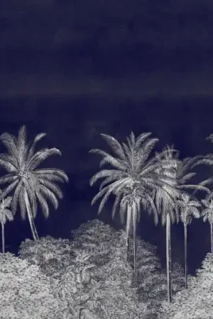 PALM GROVE Remise