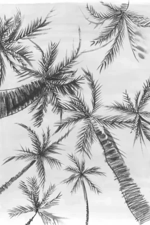 ROYAL PALM Solde