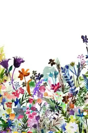 Achetez Aujourd’hui MAY MEADOW