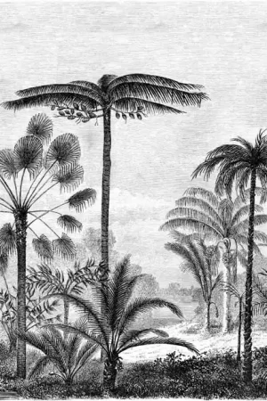 158952 Achetez Aujourd’hui