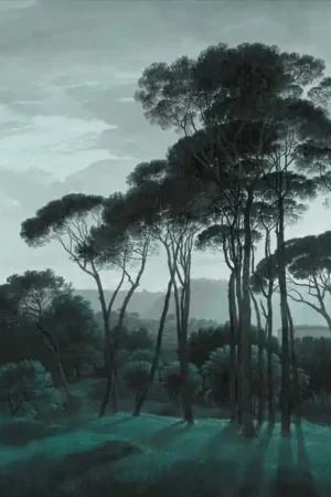 PINE TREES Commander Vite
