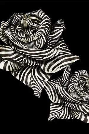 ZEBRA STRIP ROSE Retour Gratuit