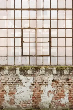 Nouveauté WINDOW AND BRICKS