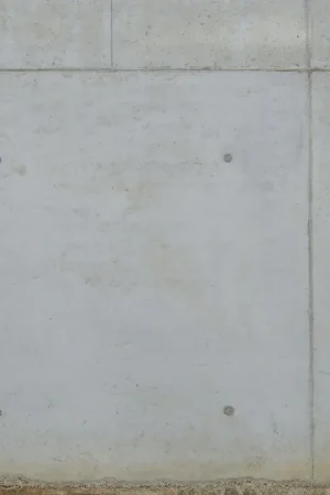 WALL ONLY Petit Prix