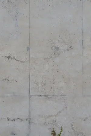 Marque POLISHED CONCRETE