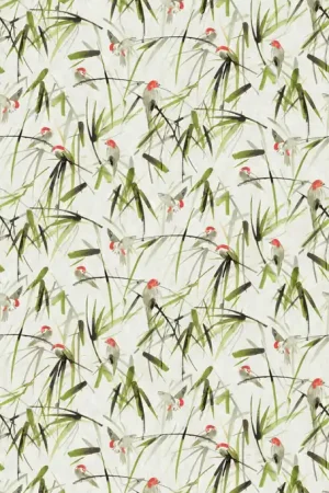 Garantie Incluse ORIENTAL GARDEN