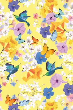 FAUNA Y FLORA Prix Bas