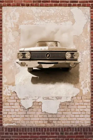 CAR ON URBAN WALL Certifié
