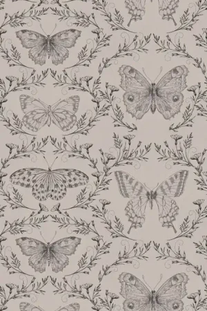 BUTTERFLIES Quantité Limitée