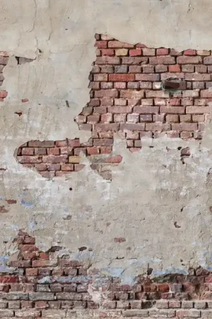 AGED BRICKWORK CHARM Vente Directe