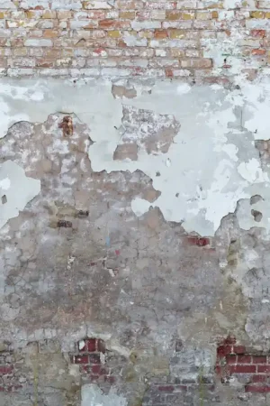 Authentique BRICKS