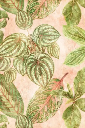 WARM BOTANICALS Meilleur Choix