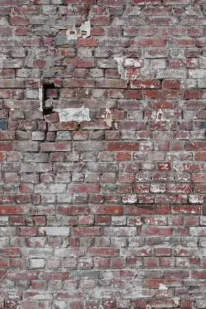 VINTAGE BRICK WALL Commande En Gros