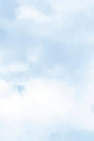 SKY Livraison Express