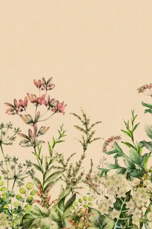 PINK MEADOW Promotion Saisonnière