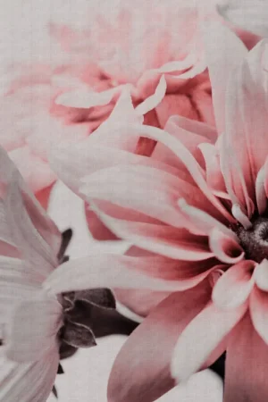 PINK FLOWERS Nouvel Arrivage