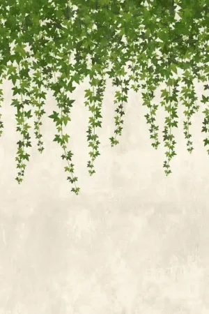Promotion IVY
