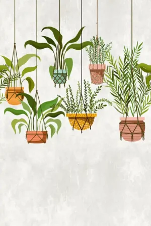 Nouveauté HANGINGPLANTS