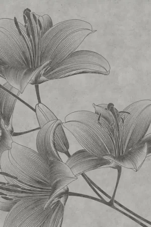 GRAYSCALE LILIES Premium