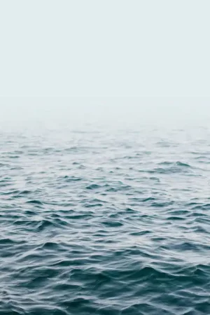 Commande En Gros CALM SEA
