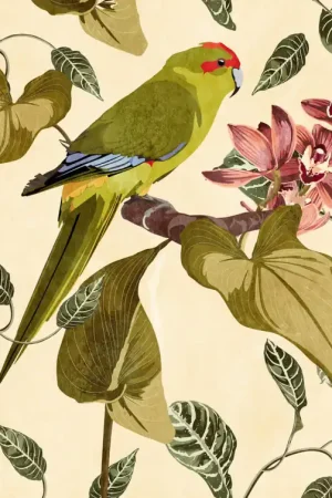 BIRD AND ORCHIDS Retour Gratuit