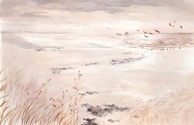 LA BAIE DU MONT Haute Qualité